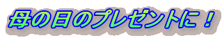 ̓̃v[gɁI